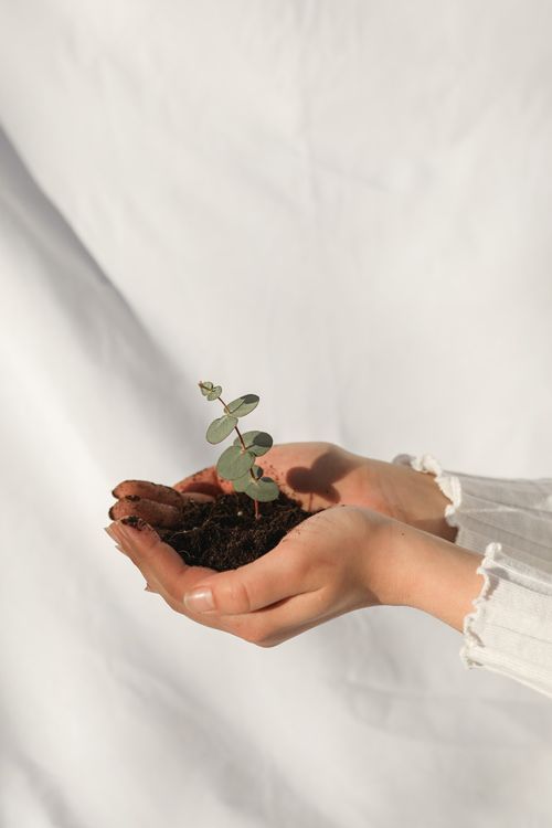 Top 5 des petites actions pour passer au vert