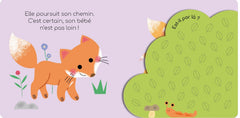 Te voilà petit renard !