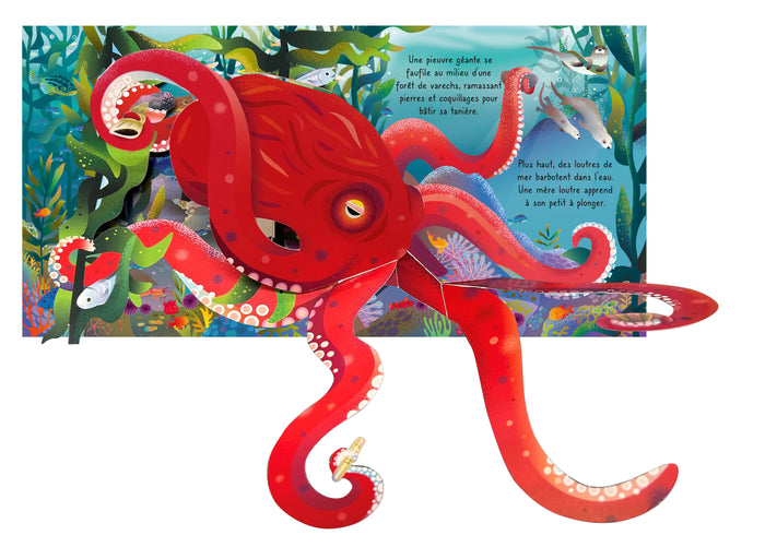 L'océan - Mon livre pop-up