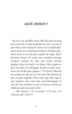Valentin Au-Delà de l'Arc-en-Ciel