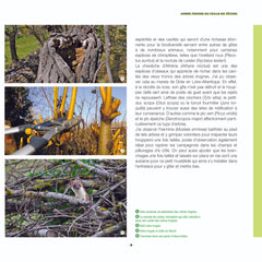 Branchages et bois morts au jardin