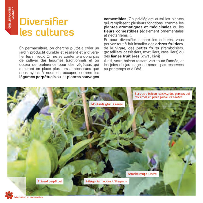 Mon balcon en permaculture