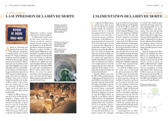 Sur les traces de la Bièvre parisienne - Promenade au fil d une rivière disparue