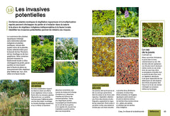 Créer et aménager une mare