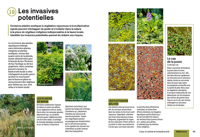 Créer et aménager une mare