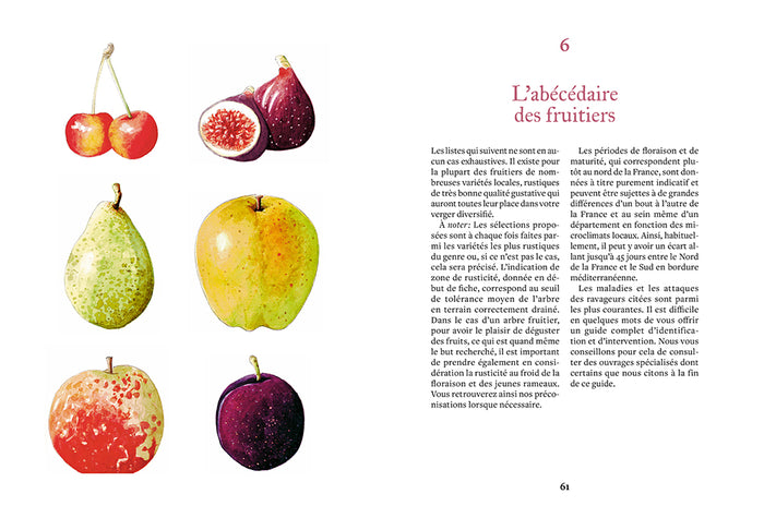 Créer et entretenir un verger permaculturel