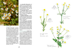 La pharmacie naturelle - Avec des plantes médicinales sauvages et du jardin