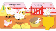 Cache-cache à la ferme