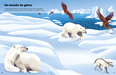 Les animaux dangereux - Mes super autocollants