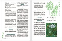 Le guide des plantes sauvages