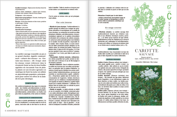 Le guide des plantes sauvages