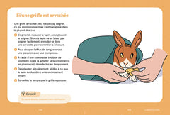 Un lapin à la maison