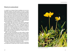 L'intelligence des plantes - Sensibilité, communication, apprentissage, personnalité... Quand la science bouscule nos préjugés