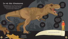 À la rencontre des dinosaures