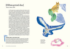 Nomen - L'origine des noms des espèces