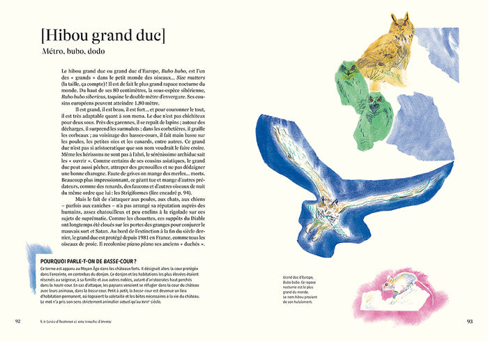 Nomen - L'origine des noms des espèces