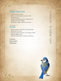 Mon grimoire des 4 saisons - Rituels et recettes pour se connecter à soi et à la nature