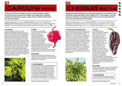 100 piments à cultiver et à déguster : ça va piquer !