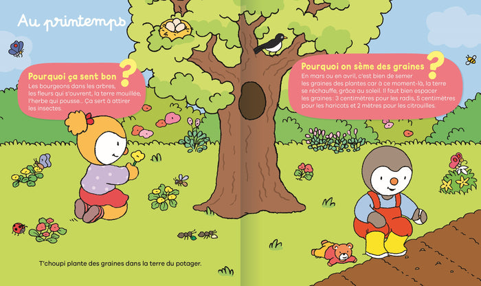 Les pourquoi de T'choupi - le jardin