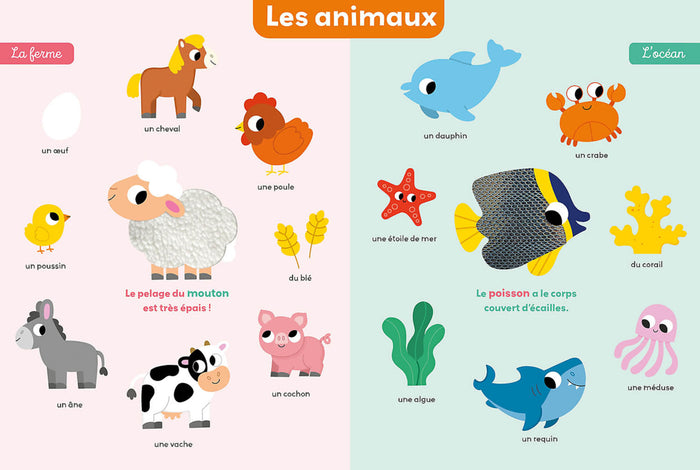 Mon premier imagier à toucher