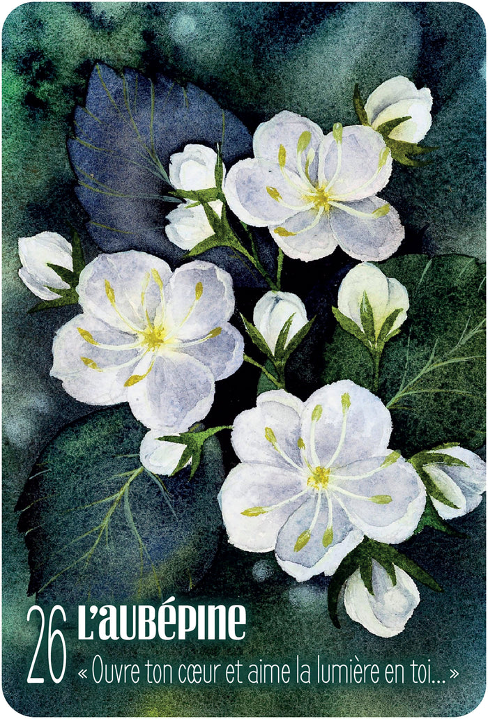 S'ouvrir à l'énergie des arbres