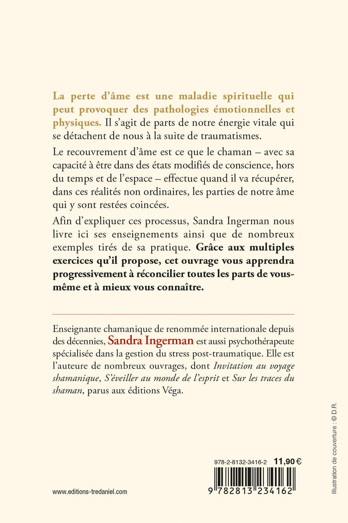 Recouvrer son âme et guérir son moi fragmenté