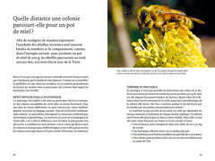 Les super-pouvoirs des abeilles - Ce que nous dit la science