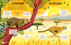 Qui est qui ? - Différencie les animaux qui se ressemblent