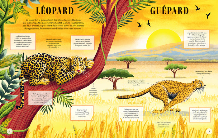 Qui est qui ? - Différencie les animaux qui se ressemblent
