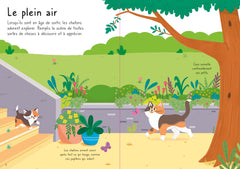 Les chats - Mes petits autocollants