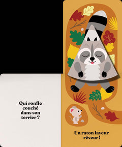 Cache-cache forêt