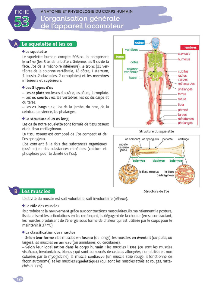 Réussir le DEAS - Réussir le diplôme d'État Aide-soignant - 2023