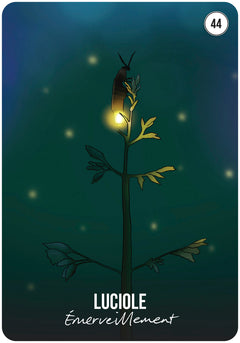 L'oracle des signes du temps