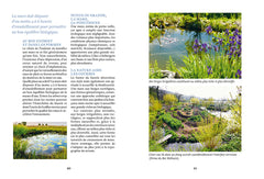 Créer une mare, un point d'eau, une baignade naturelle