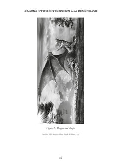 Dragons : petite introduction à la draconologie