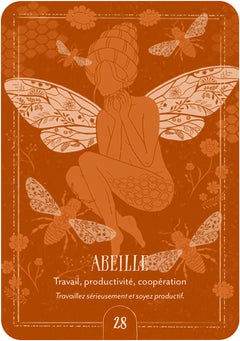 Coffret Oracle du chant de la terre