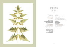 Le tarot des plantes sauvages