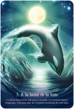 Murmures de l'océan