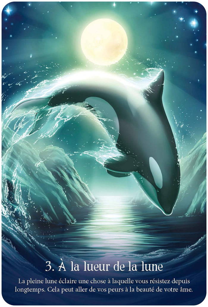 Murmures de l'océan