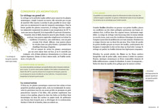 Plantes aromatiques - Comment les cultiver et les entretenir facilement