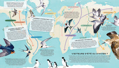 La vie secrète des oiseaux