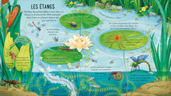 Le monde des insectes et des petites bêtes - P'tits curieux Usborne - Dès 5 ans