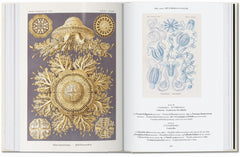 L’art et la science de Ernst Haeckel