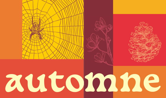 Une mathématicienne au jardin