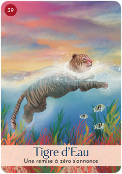 Les 5 éléments - cartes oracle