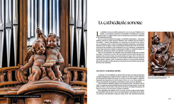 La grâce des cathédrales - Une esthétique du sacré