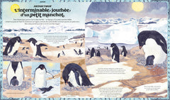 QUE FAIS-TU AUJOURD'HUI, DAME NATURE ?