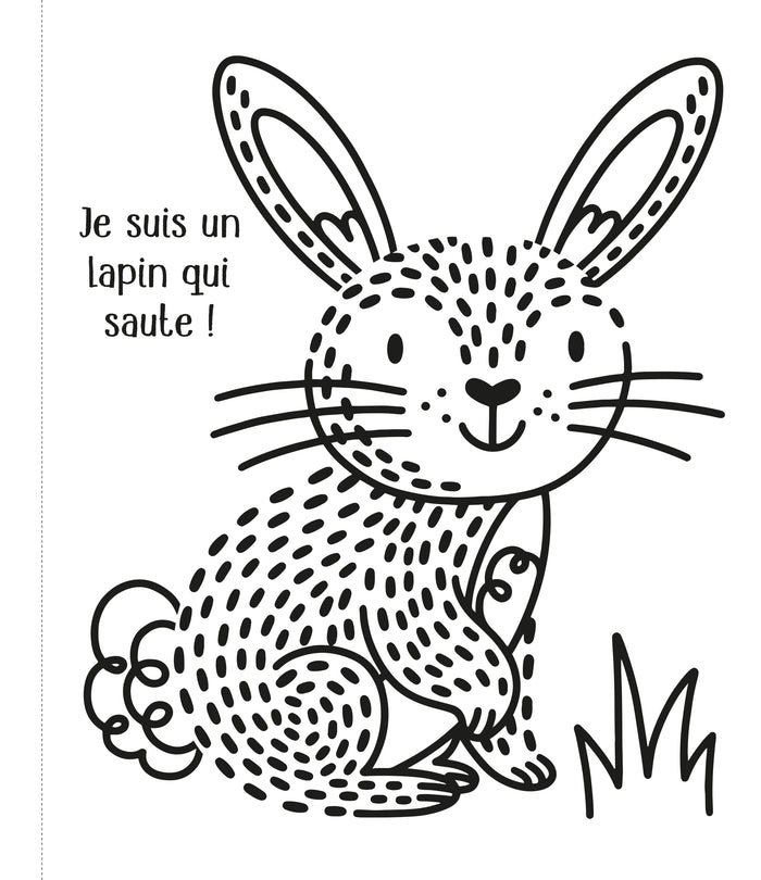 Les animaux de compagnie - Ma première peinture magique