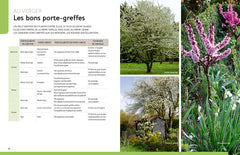 Multiplier toutes les plantes - Semis, bouturage, greffe, marcottage, division