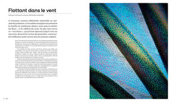 Les formes de la nature